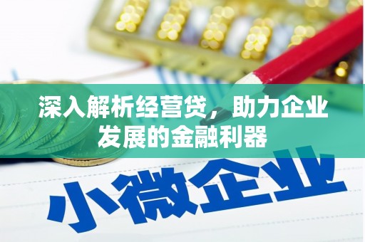 嘉黎深入解析经营贷，助力企业发展的金融利器