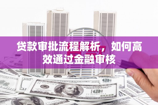 嘉黎贷款审批流程解析，如何高效通过金融审核