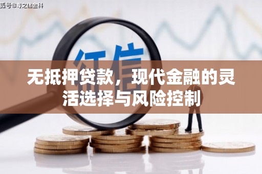 嘉黎无抵押贷款，现代金融的灵活选择与风险控制