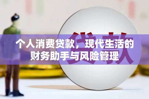 嘉黎个人消费贷款，现代生活的财务助手与风险管理