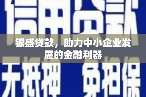 嘉黎银盛贷款，助力中小企业发展的金融利器