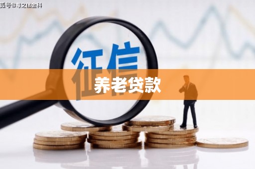 嘉黎养老贷款