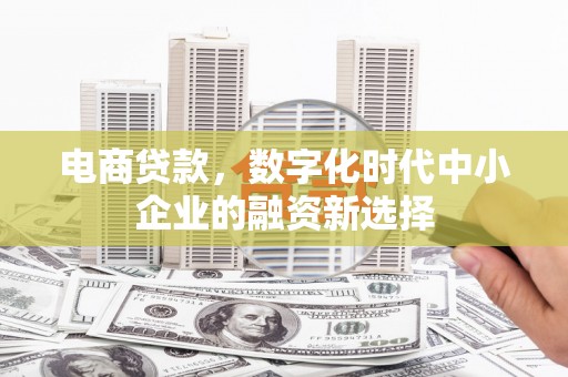 嘉黎电商贷款，数字化时代中小企业的融资新选择