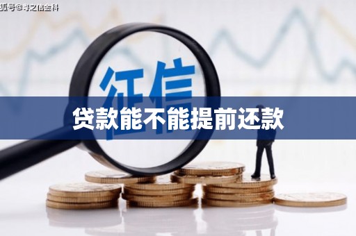 嘉黎贷款能不能提前还款
