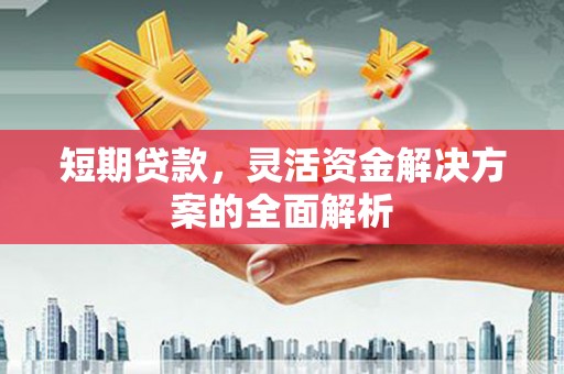 嘉黎短期贷款，灵活资金解决方案的全面解析