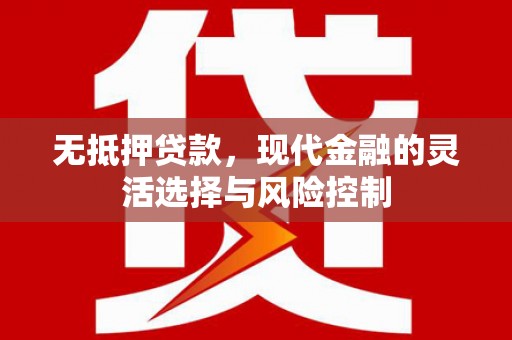 嘉黎无抵押贷款，现代金融的灵活选择与风险控制
