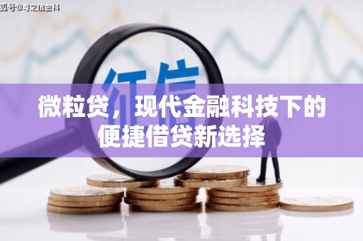 嘉黎微粒贷，现代金融科技下的便捷借贷新选择