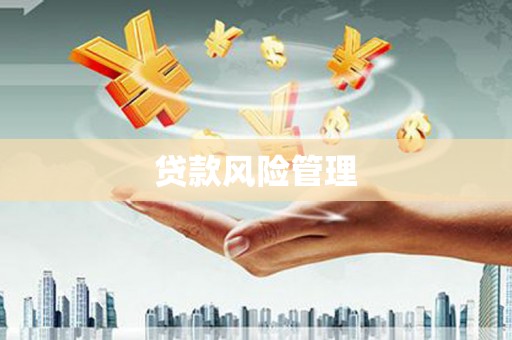 嘉黎贷款风险管理