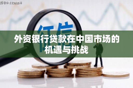 嘉黎外资银行贷款在中国市场的机遇与挑战