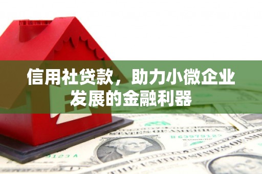 嘉黎信用社贷款，助力小微企业发展的金融利器
