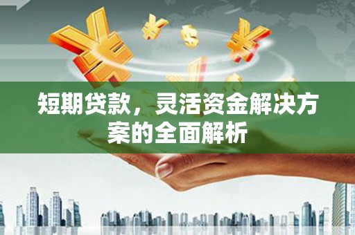嘉黎短期贷款，灵活资金解决方案的全面解析
