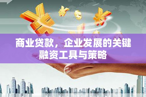 嘉黎商业贷款，企业发展的关键融资工具与策略