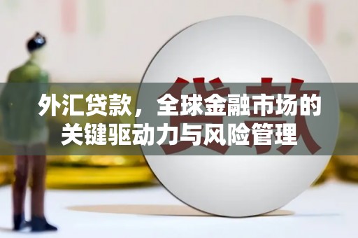嘉黎外汇贷款，全球金融市场的关键驱动力与风险管理