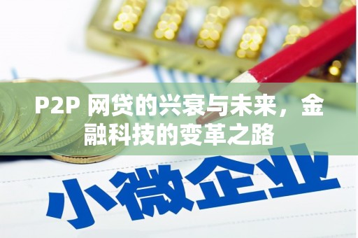 嘉黎P2P 网贷的兴衰与未来，金融科技的变革之路