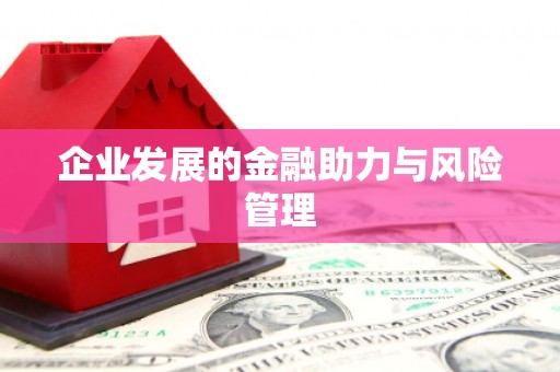 嘉黎企业发展的金融助力与风险管理