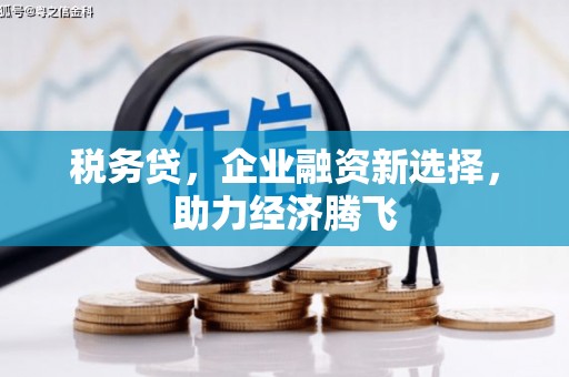 嘉黎税务贷，企业融资新选择，助力经济腾飞