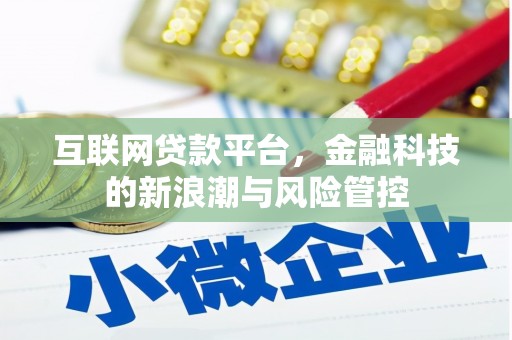 嘉黎互联网贷款平台，金融科技的新浪潮与风险管控