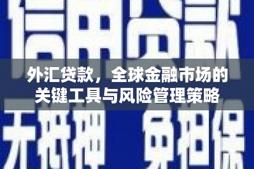 嘉黎外汇贷款，全球金融市场的关键工具与风险管理策略