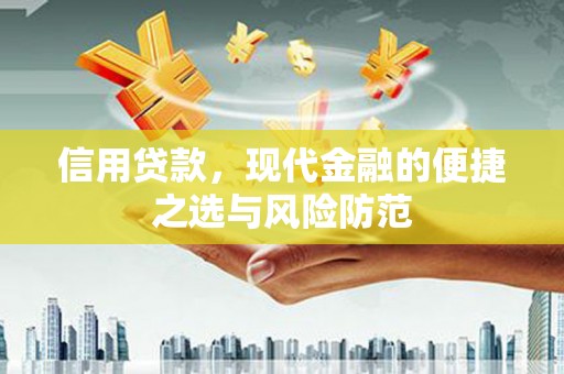 嘉黎信用贷款，现代金融的便捷之选与风险防范