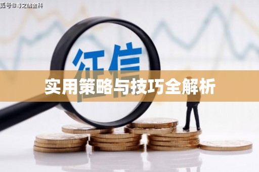 嘉黎实用策略与技巧全解析
