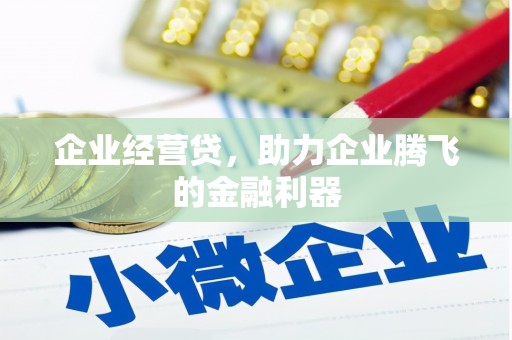 嘉黎企业经营贷，助力企业腾飞的金融利器