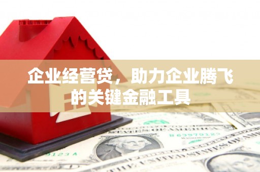 嘉黎企业经营贷，助力企业腾飞的关键金融工具