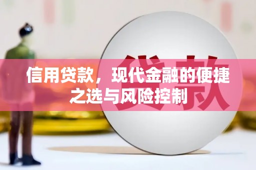 嘉黎信用贷款，现代金融的便捷之选与风险控制