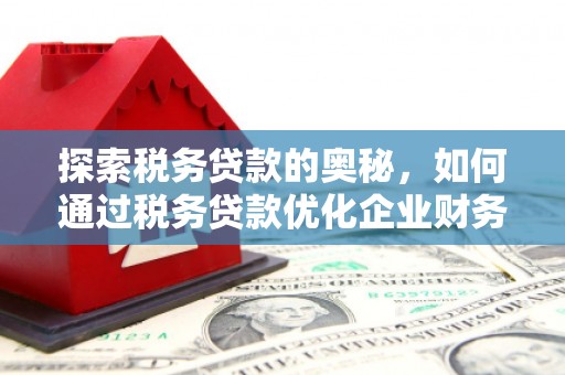嘉黎探索税务贷款的奥秘，如何通过税务贷款优化企业财务