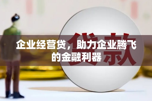 嘉黎企业经营贷，助力企业腾飞的金融利器