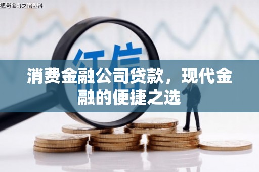 嘉黎消费金融公司贷款，现代金融的便捷之选