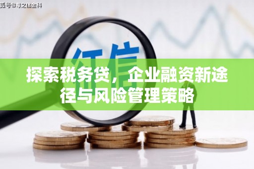 嘉黎探索税务贷，企业融资新途径与风险管理策略