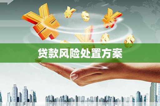 嘉黎贷款风险处置方案
