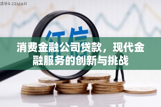 嘉黎消费金融公司贷款，现代金融服务的创新与挑战