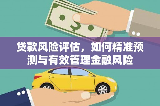 嘉黎贷款风险评估，如何精准预测与有效管理金融风险