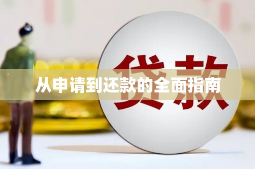 嘉黎从申请到还款的全面指南
