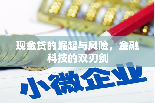 嘉黎现金贷的崛起与风险，金融科技的双刃剑