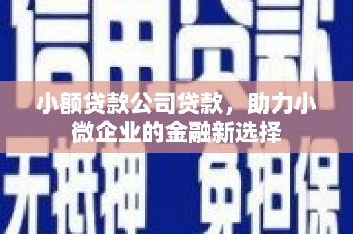 嘉黎小额贷款公司贷款，助力小微企业的金融新选择