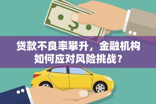 嘉黎贷款不良率攀升，金融机构如何应对风险挑战？
