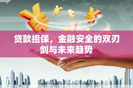 嘉黎贷款担保，金融安全的双刃剑与未来趋势