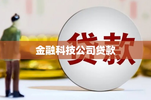 嘉黎金融科技公司贷款