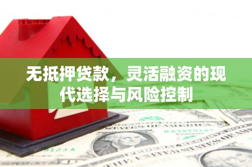 嘉黎无抵押贷款，灵活融资的现代选择与风险控制