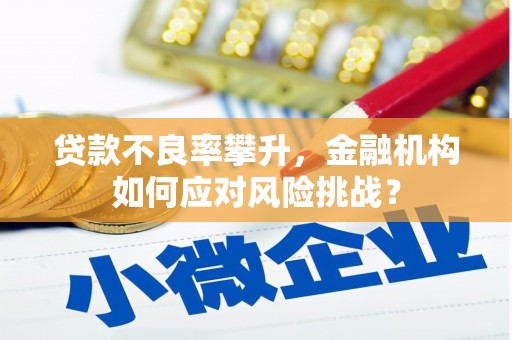 嘉黎贷款不良率攀升，金融机构如何应对风险挑战？