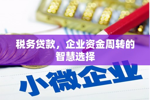 嘉黎税务贷款，企业资金周转的智慧选择