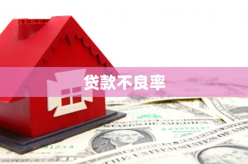 嘉黎贷款不良率