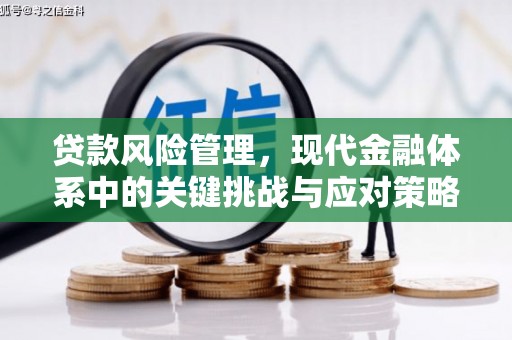 嘉黎贷款风险管理，现代金融体系中的关键挑战与应对策略
