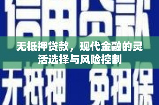 嘉黎无抵押贷款，现代金融的灵活选择与风险控制
