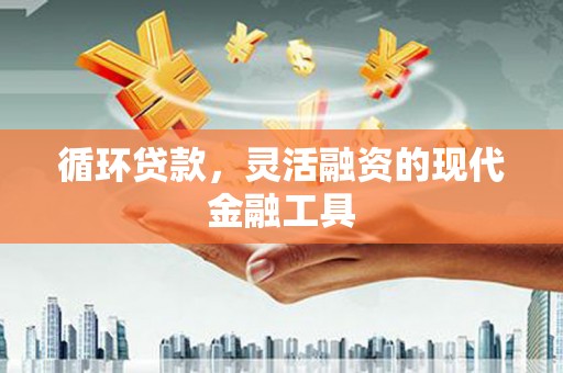 嘉黎循环贷款，灵活融资的现代金融工具