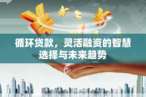 嘉黎循环贷款，灵活融资的智慧选择与未来趋势