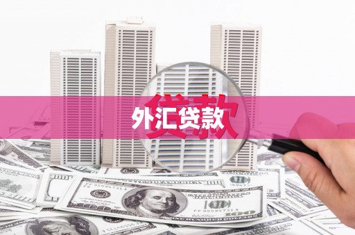 嘉黎外汇贷款