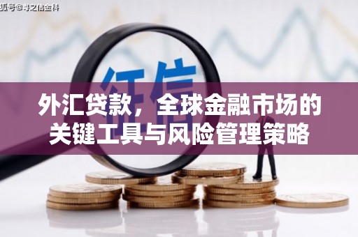 嘉黎外汇贷款，全球金融市场的关键工具与风险管理策略